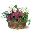 Traditional European Garden Basket in Stamford CT Nobu Florist of Stamford, Inc.